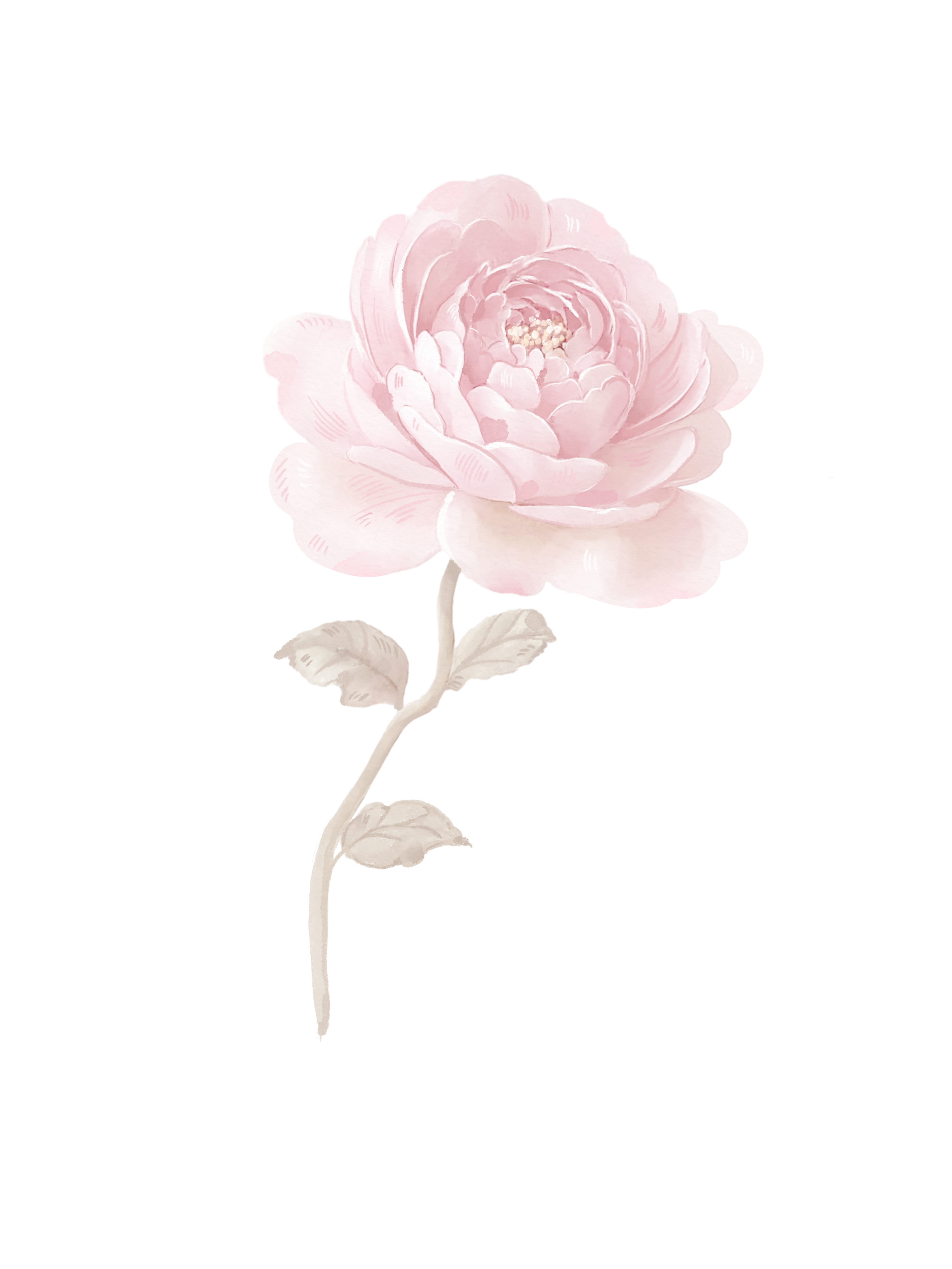 https://isabella-olivia.click/wp-content/uploads/2026/03/41.png